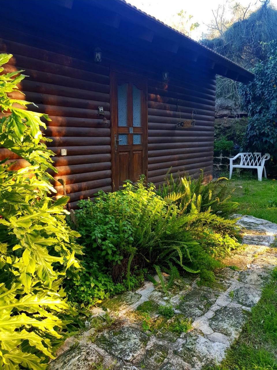 A Place To Dream Tsipori Exterior photo